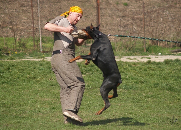 Santa Julf Efrat - training 4. 4. 2007